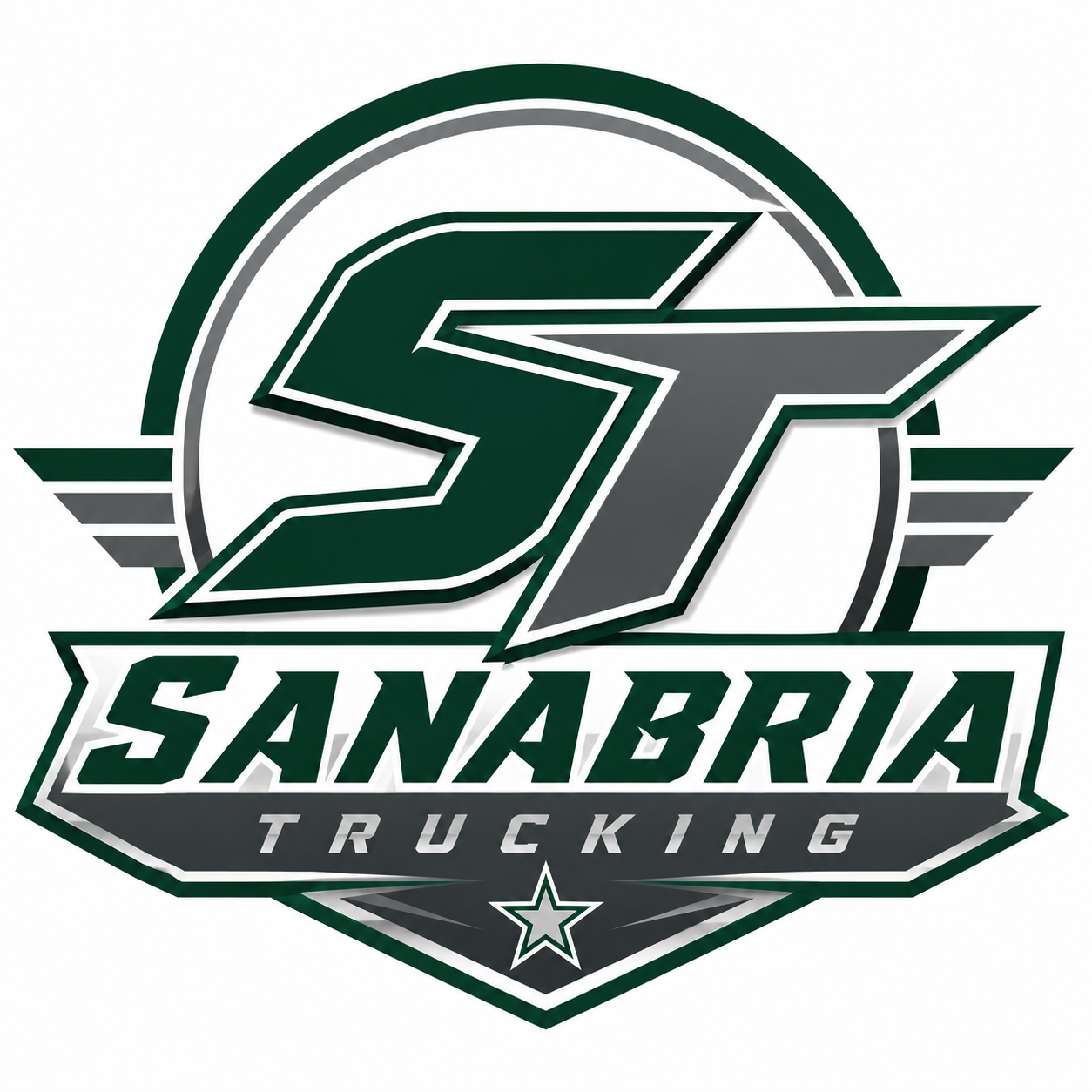 sanabriatrucking.com